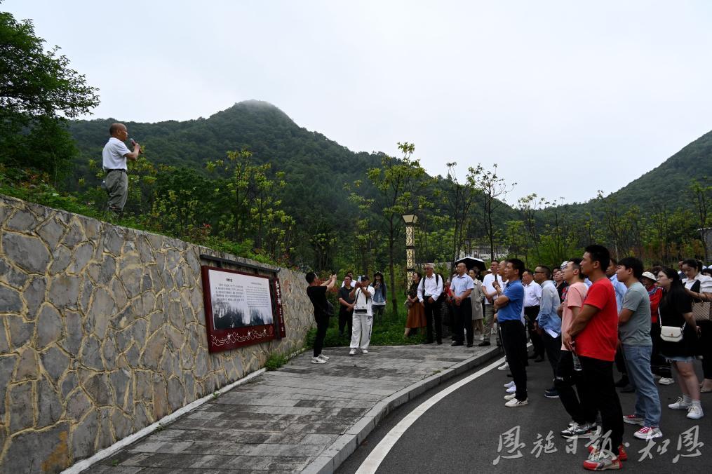 恩施日?qǐng)?bào)：“紅軍樹(shù)”下憶初心